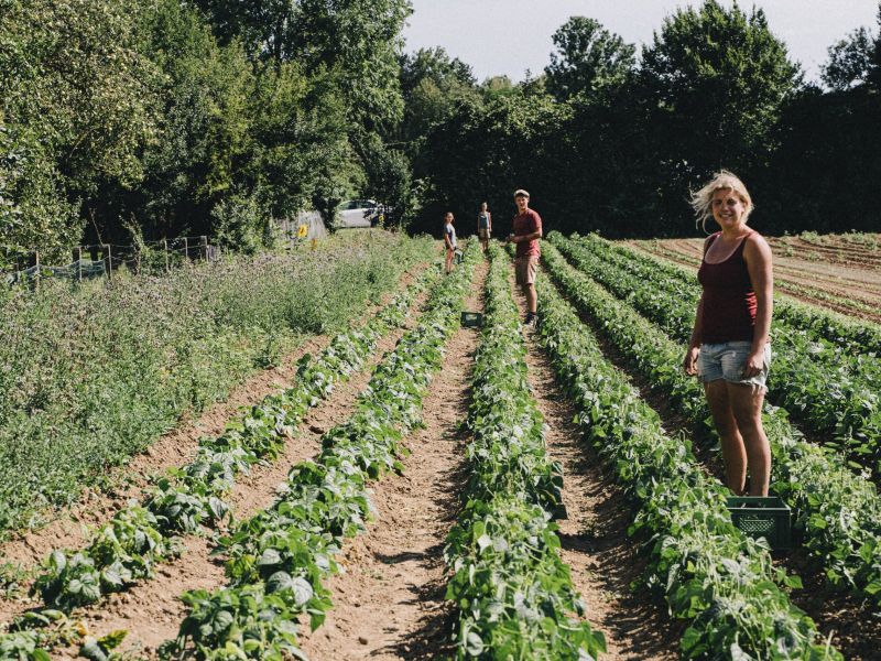 L’organismo agricolo biodinamico e la sua vitalità