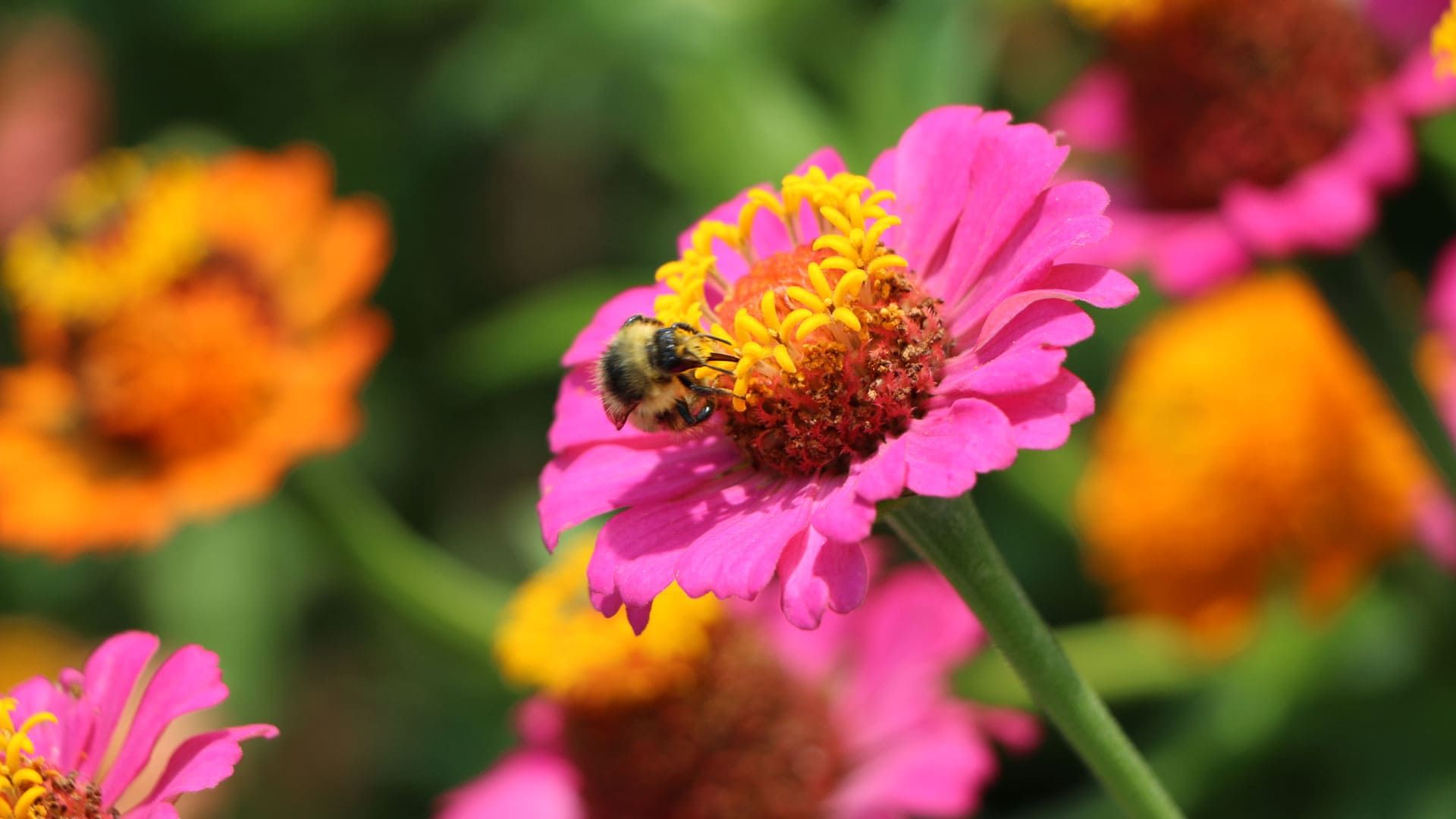 Rispettiamo diversità, regionalità, stagionalità