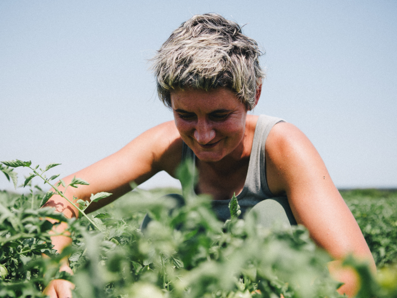 Un corso pratico dedicato all’orto biodinamico