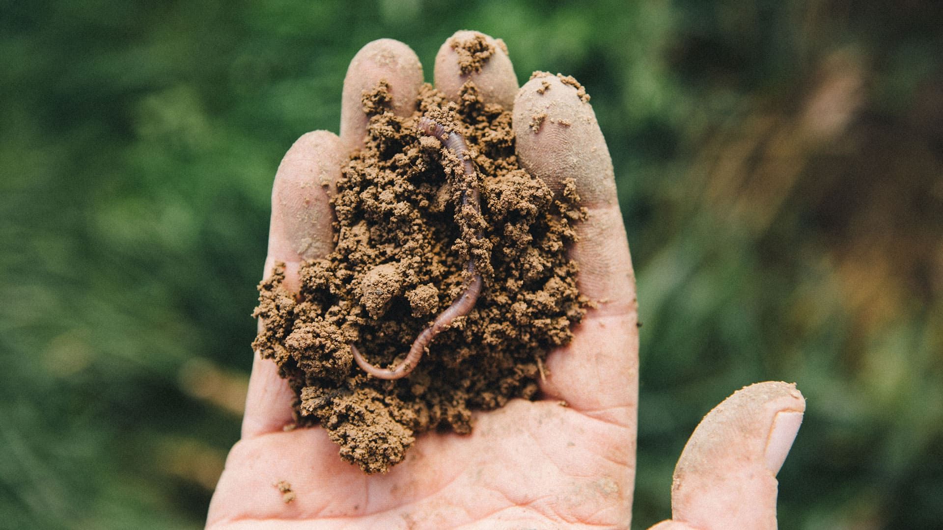 L’azienda agricola è un luogo vivo