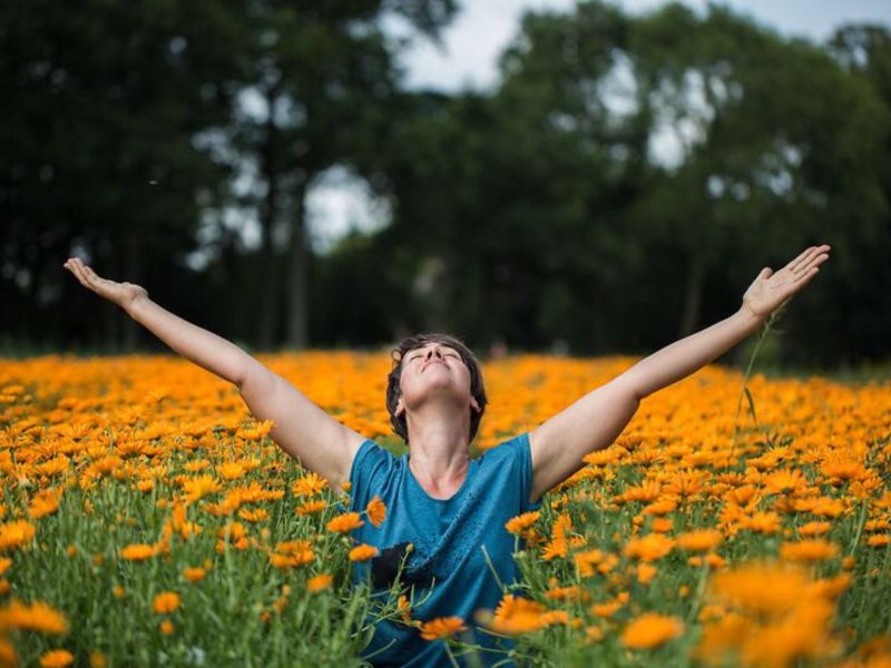 Biodinamica e sviluppo sostenibile: quando la soluzione è la Natura
