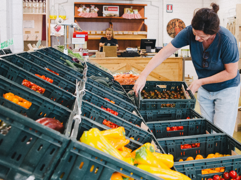 Crescere in biodinamica: nasce la formazione continua Demeter Italia