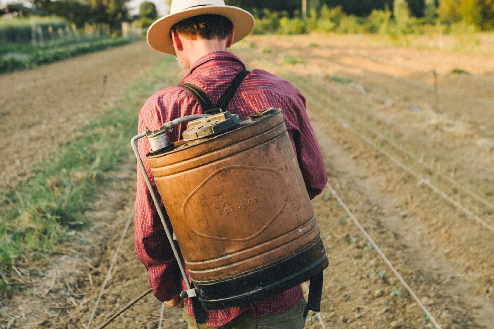Preparati biodinamici