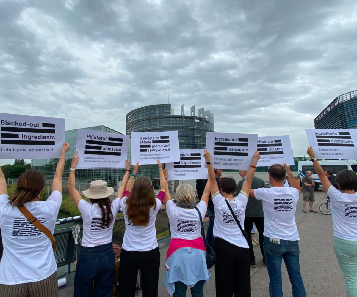 NGT, deregulation approvata: un drammatico passo indietro per l’Europa