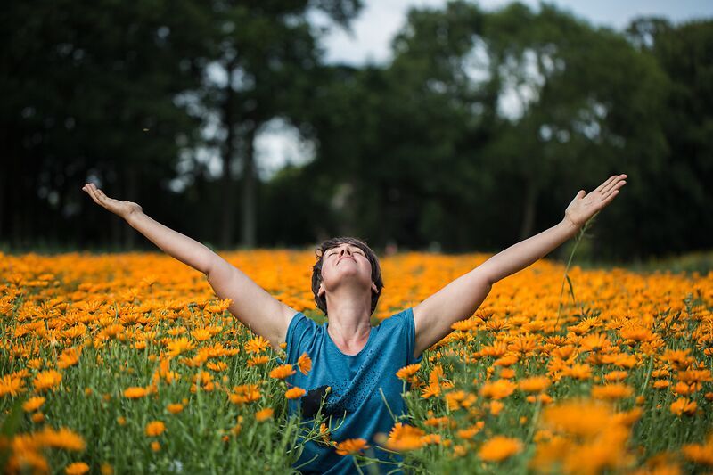 Il respiro dell’estate e il sorgere della vita