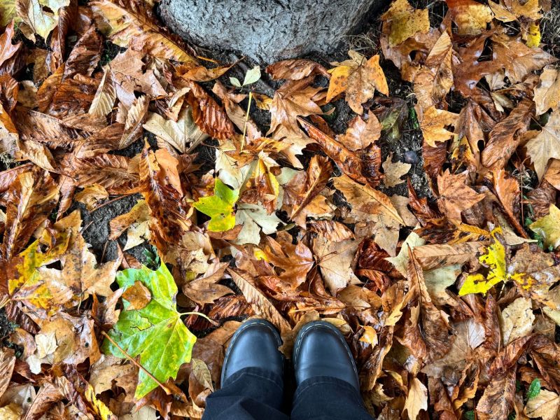 Il calendario e il sonno della Natura dopo la semina