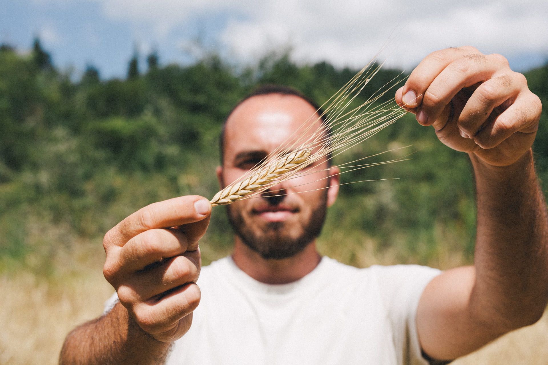 Qualità degli alimenti