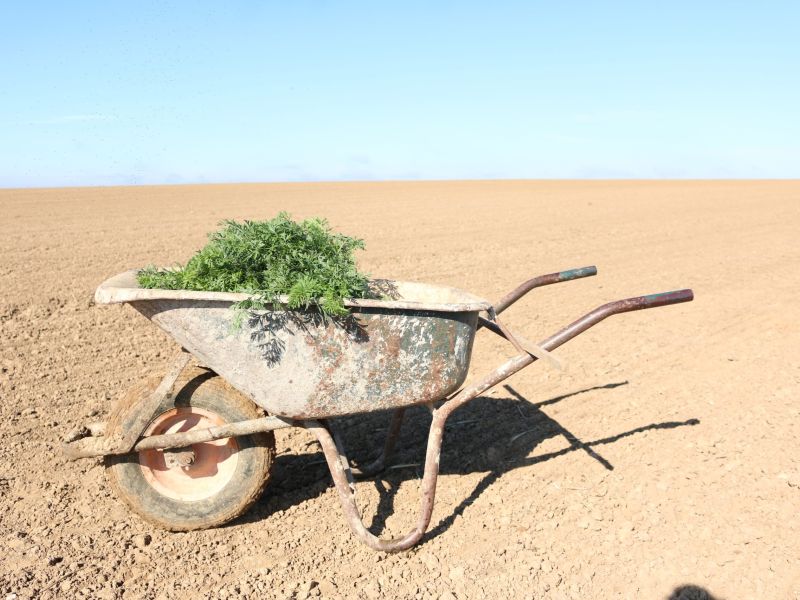 Fronteggiare caldo e siccità con l’agricoltura biodinamica