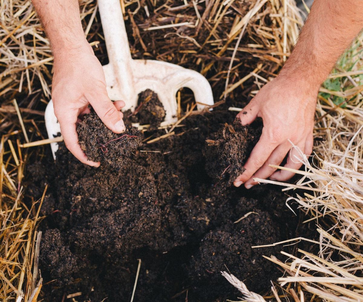 Compostaggio e fertilità: un seminario con Libera Accademia Hermes