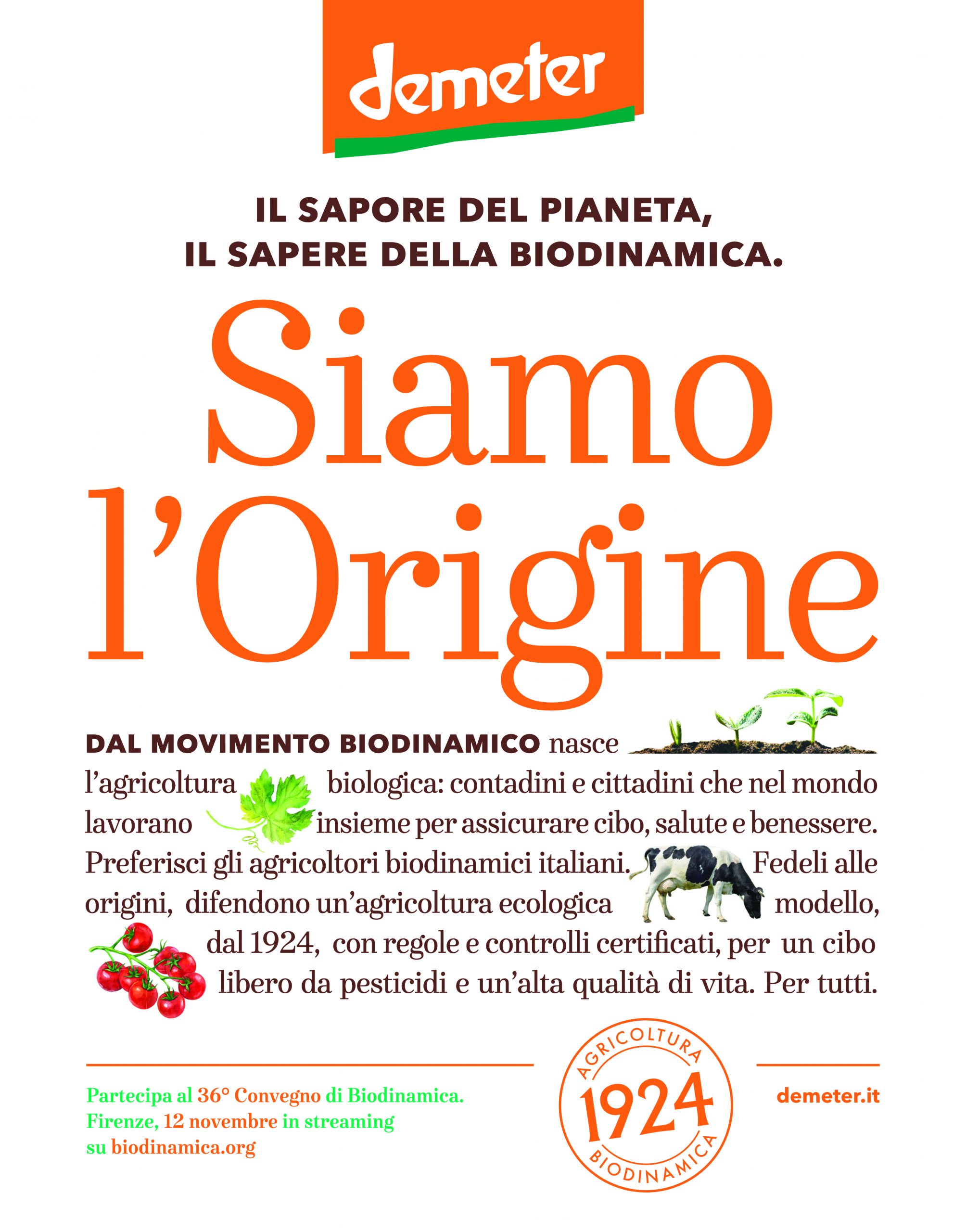 Siamo l’Origine – di Enrico Amico