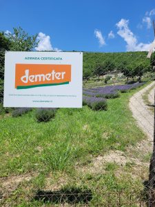 Piante-aromatiche-azienda-Fattoria-Cuore-Verde-Demeter