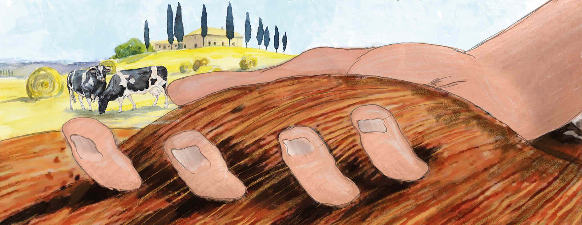 36° Convegno di Agricoltura Biodinamica 27-29 febbraio 2020 RIMANDATO