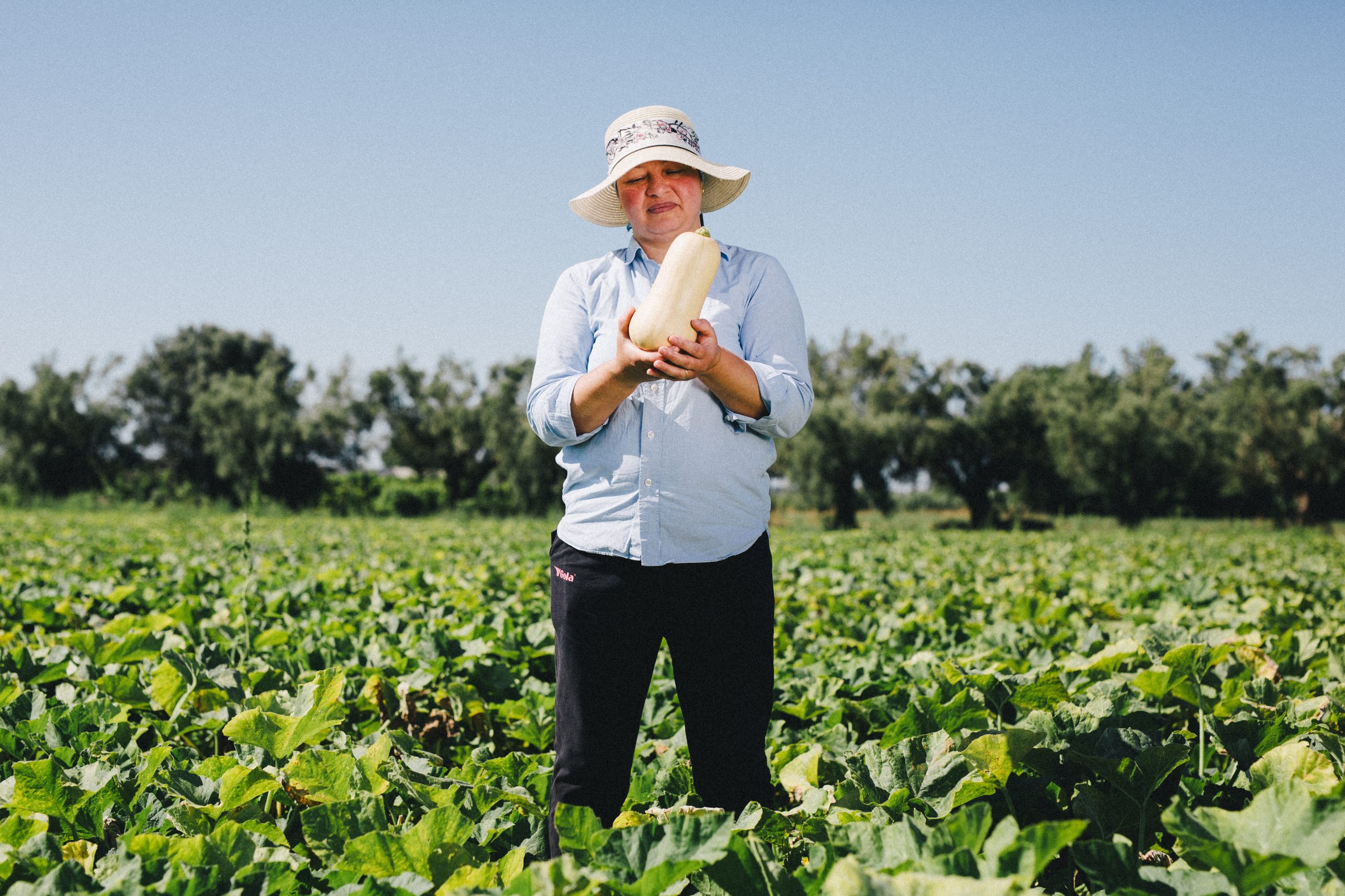 Siccità e crisi climatica: l’agricoltura biodinamica risponde con la forza del suolo vivo