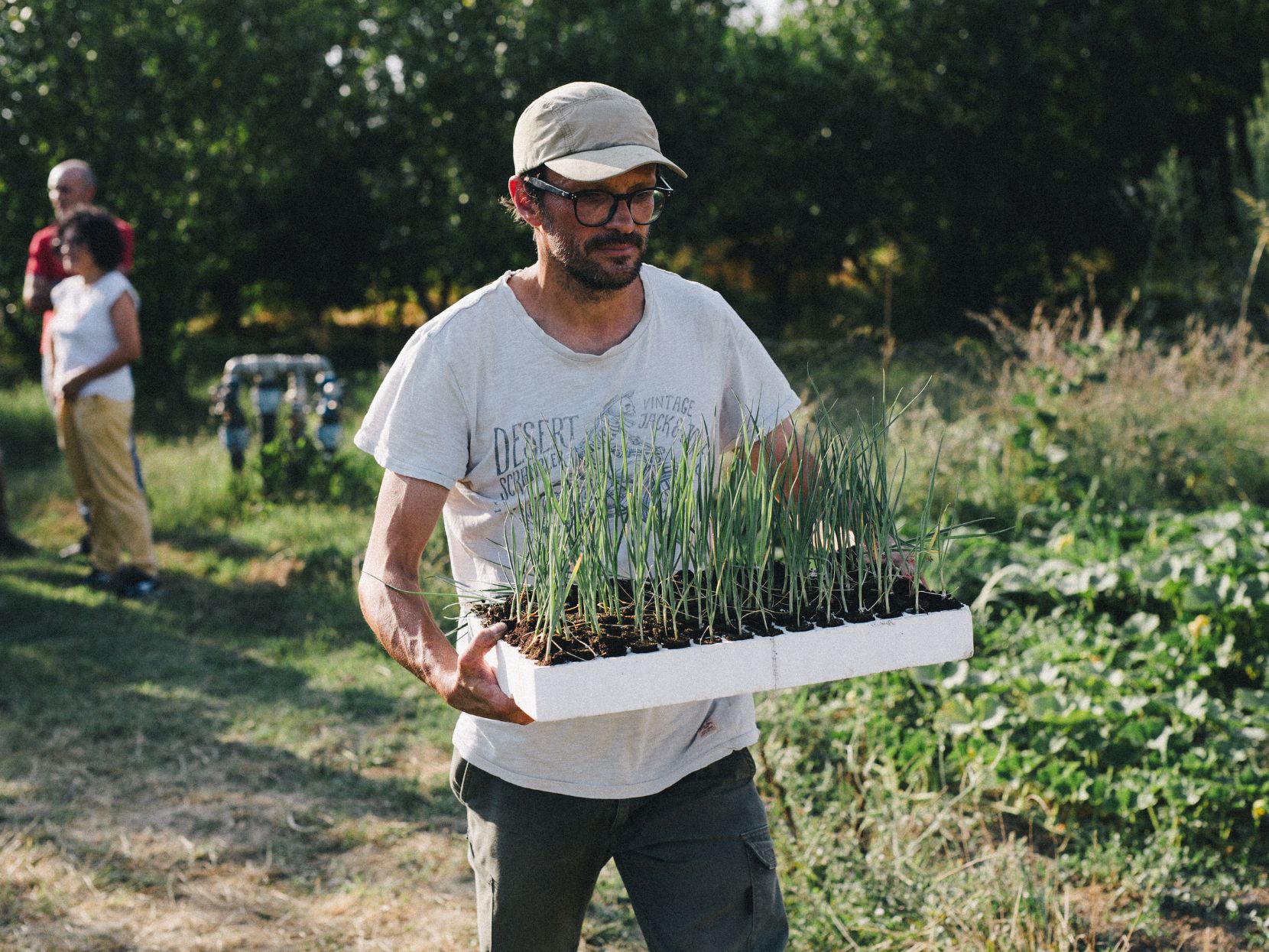 Corso base di agricoltura biodinamica in Veneto