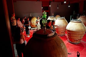 Agriturismi-Demeter-Italia-cantina