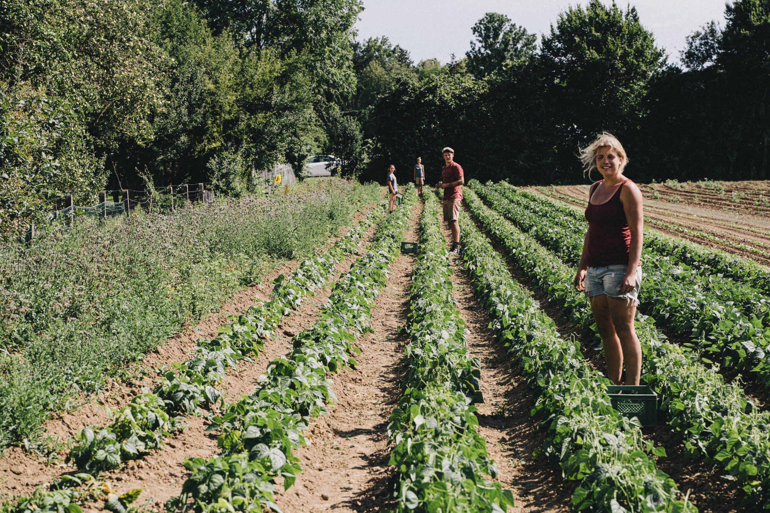 L’organismo agricolo biodinamico e la sua vitalità