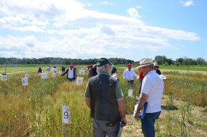Seminare-il-Futuro-campo2-Demeter-Italia