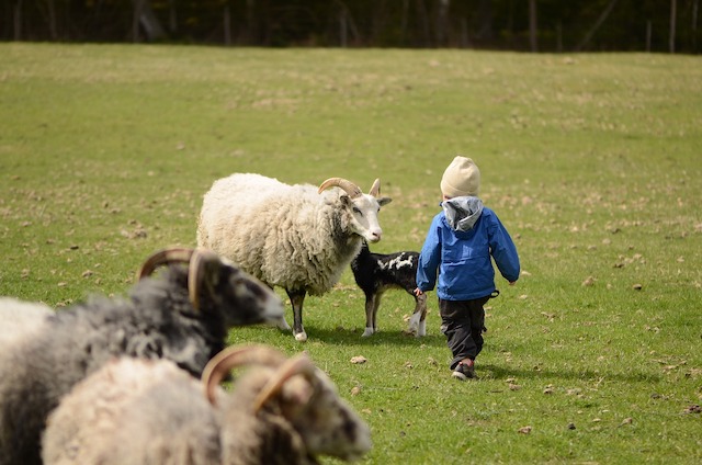 Educare-in-armonia-con-la-natura-agricolturabiodinamica-Demeter