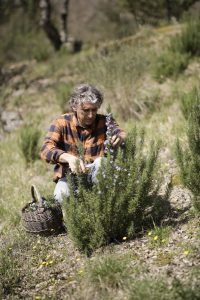 Emanuele Tellini - Demeter Italia - foto di Piero Martinello