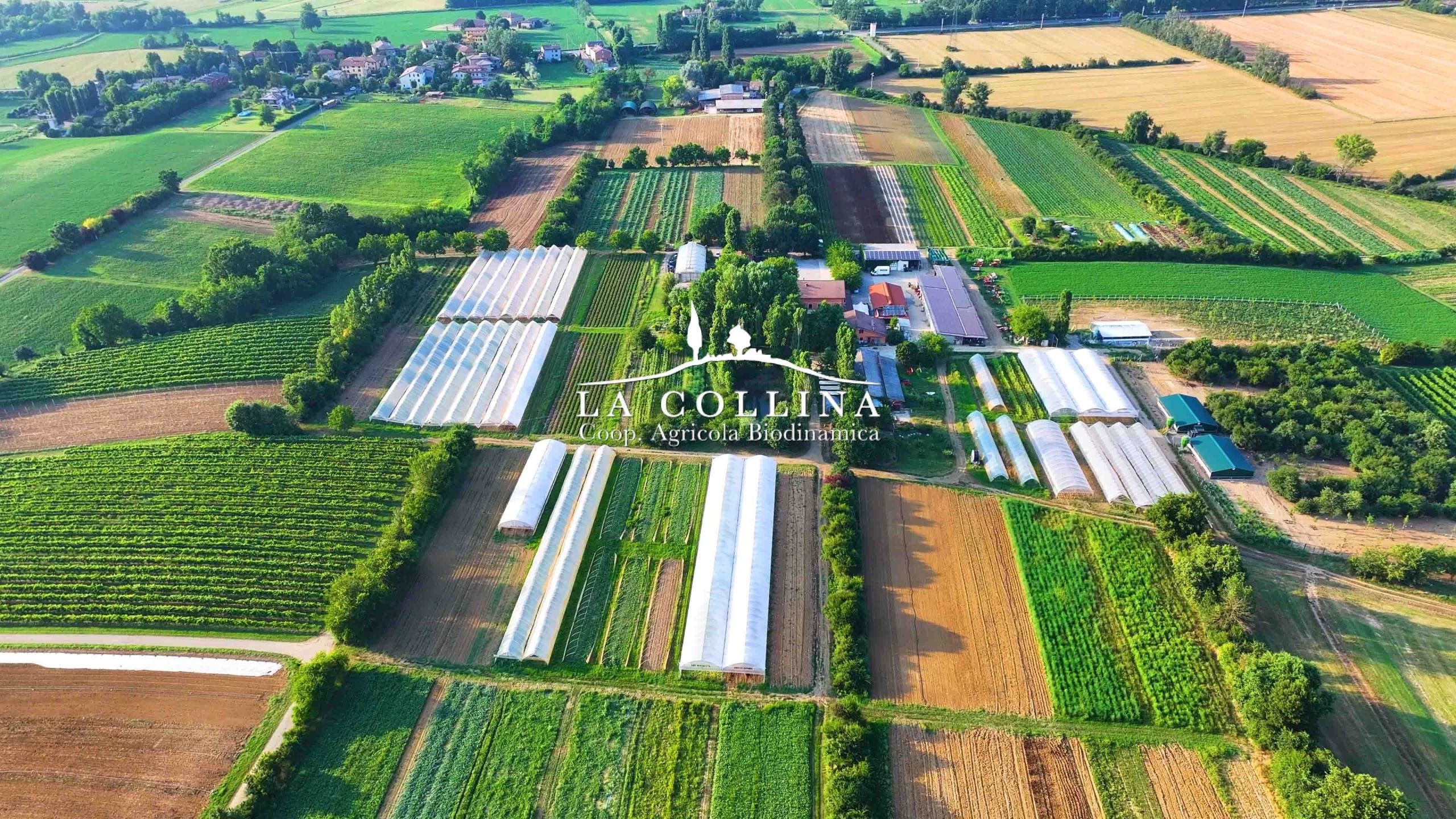 La parola rigenerazione in agricoltura