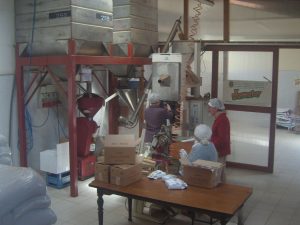 La produzione de La Fucina di Poggio Antico Demeter Italia