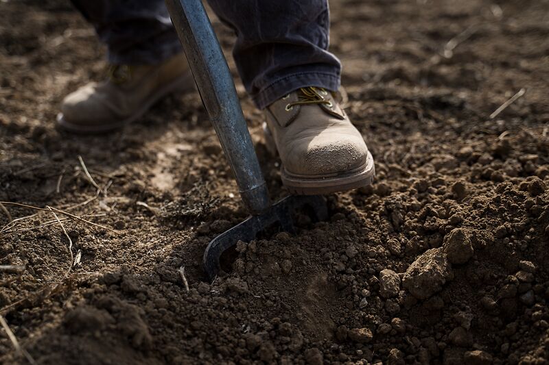 Leggere la salute del terreno con la prova della vanga