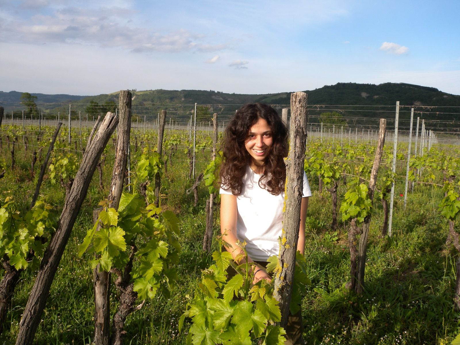 Rosa, dalla Bocconi al contratto di bracciante agricola