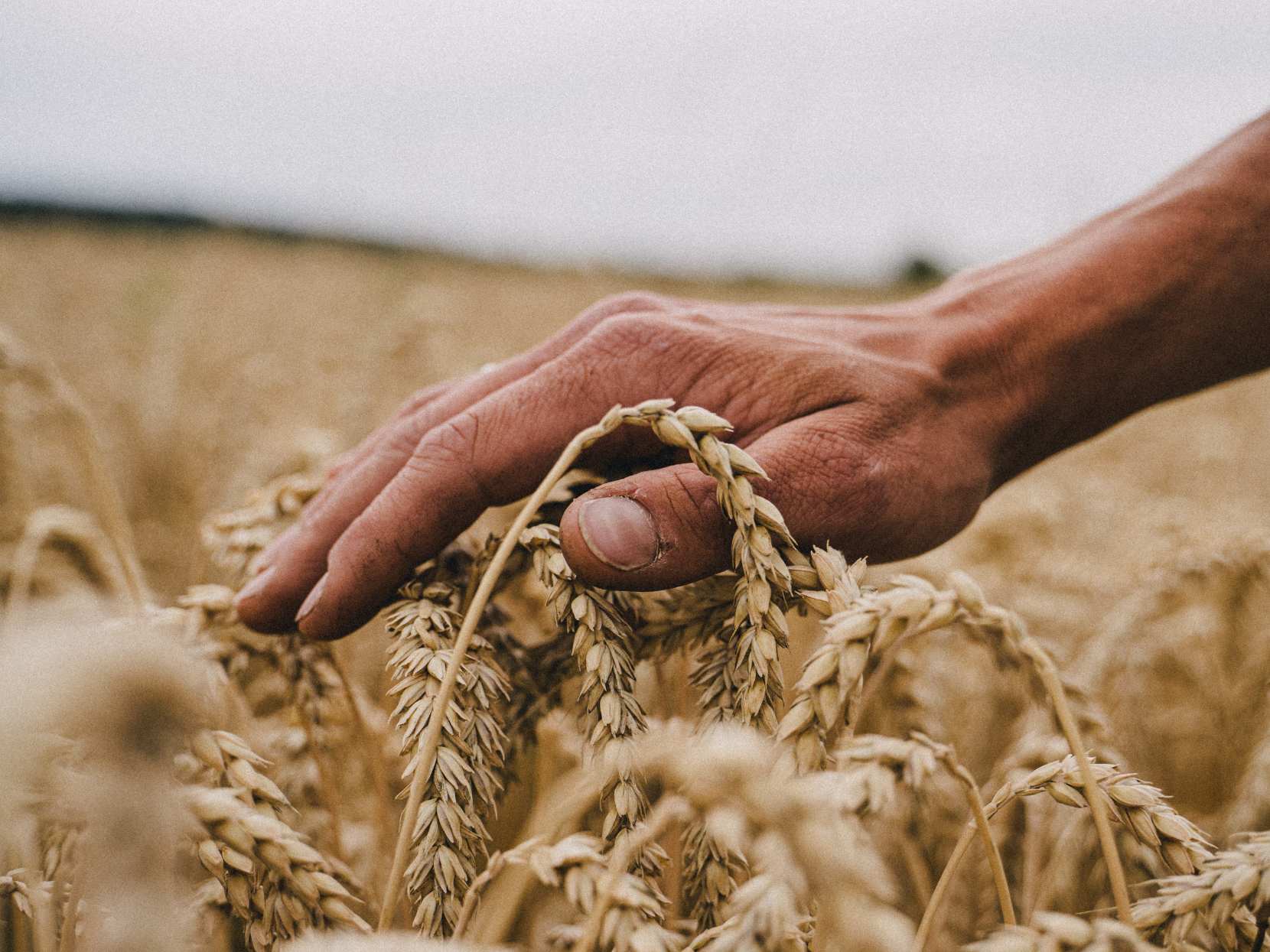Agricoltura: l’era della scienza che contraddice la scienza