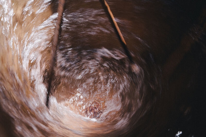 L’azione dei preparati biodinamici sulla vitalità del suolo e delle piante – di Paolo Pistis