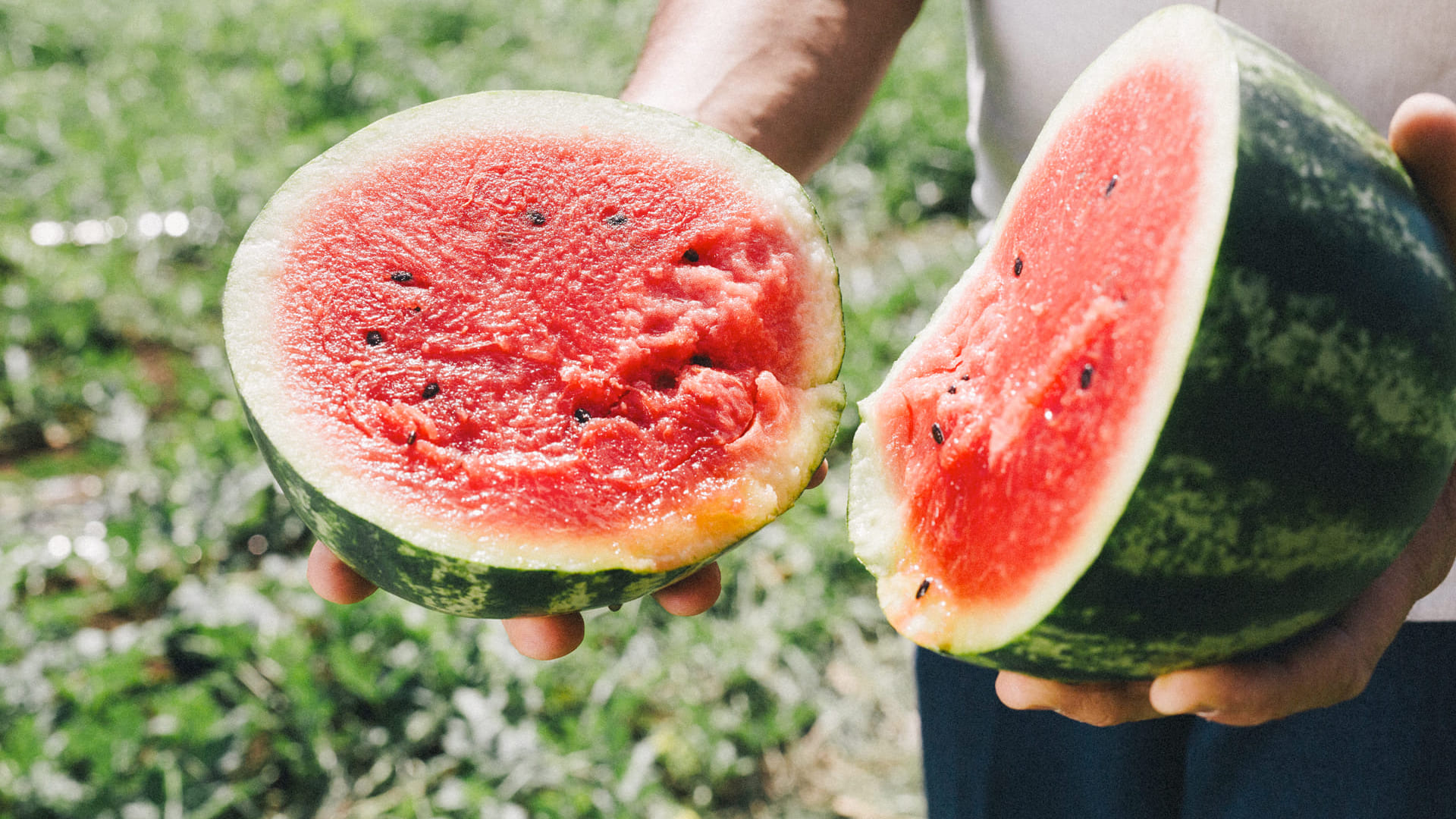L'AGRICOLTURA CHE RISPETTA I CICLI NATURALI
