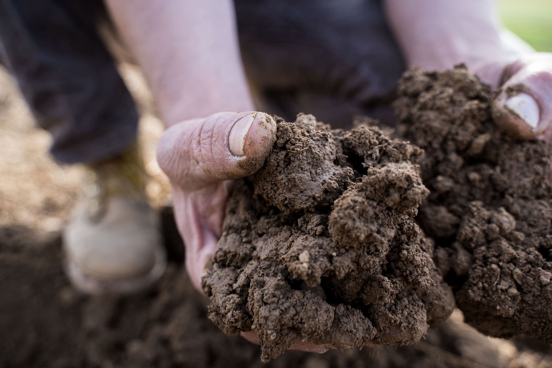 La qualità dell’acqua e la fertilità del terreno sono due aspetti strettamente collegati