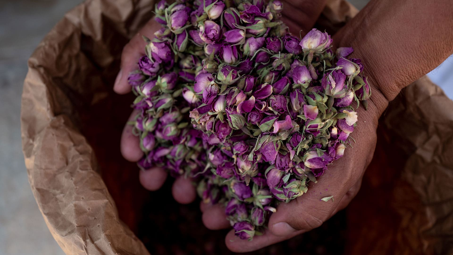 L'AGRICOLTURA BIODINAMICA CERTIFICATA