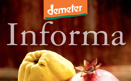 Demeter Informa n.2