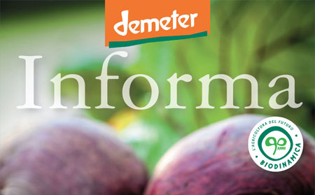 Demeter Informa n.4