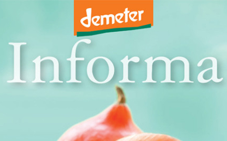 Demeter Informa n.6