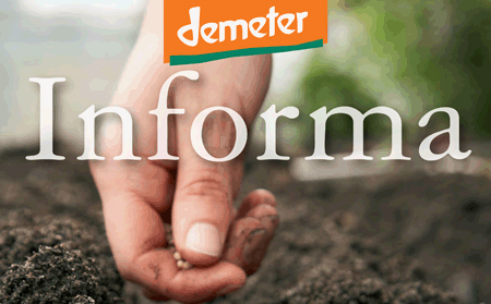 Demeter Informa n.9