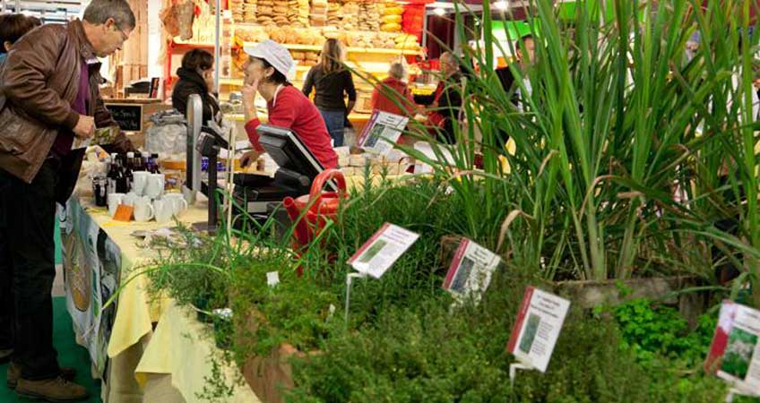 Demeter Italia a Biolife 2013