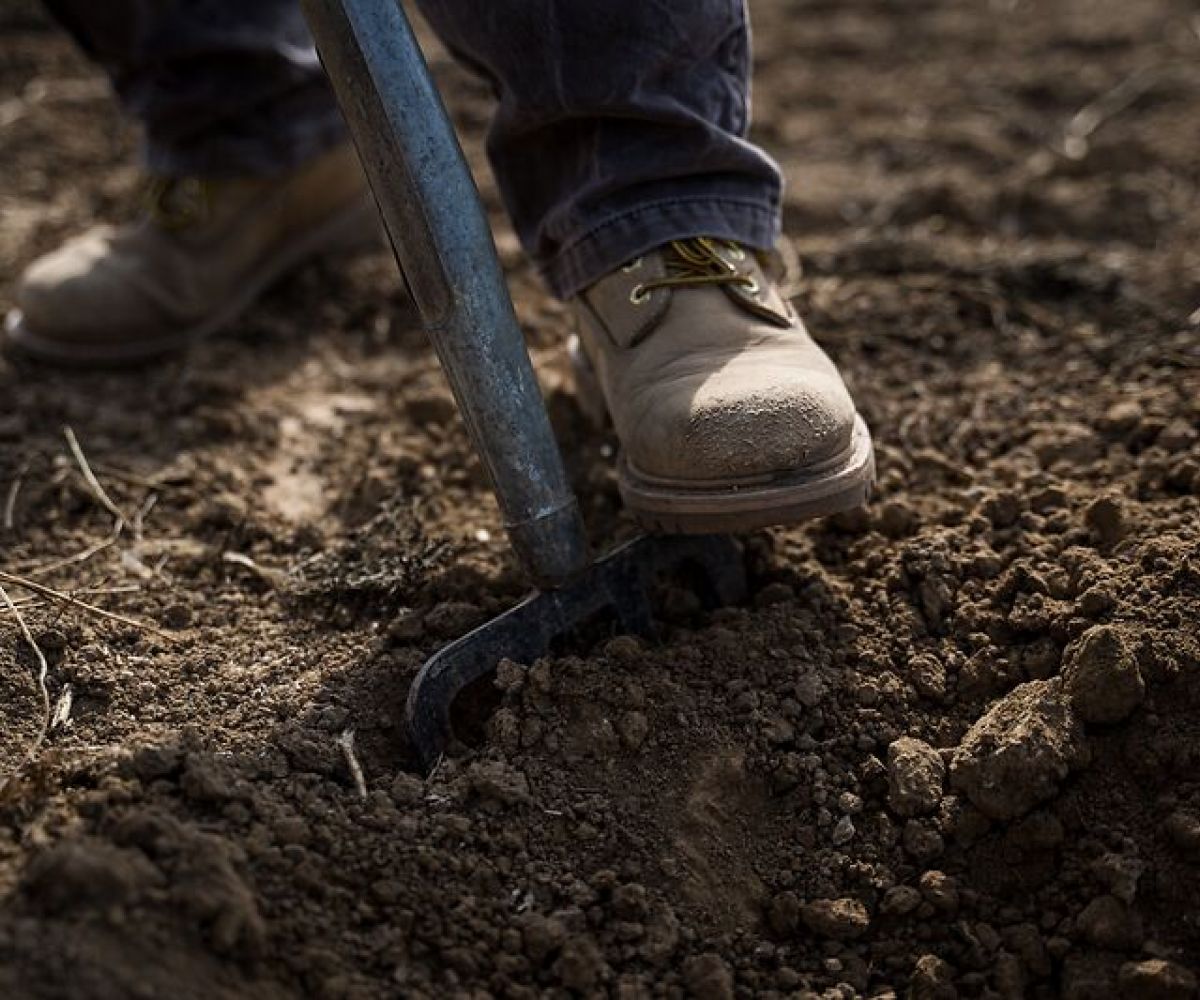 Leggere la salute del terreno con la prova della vanga