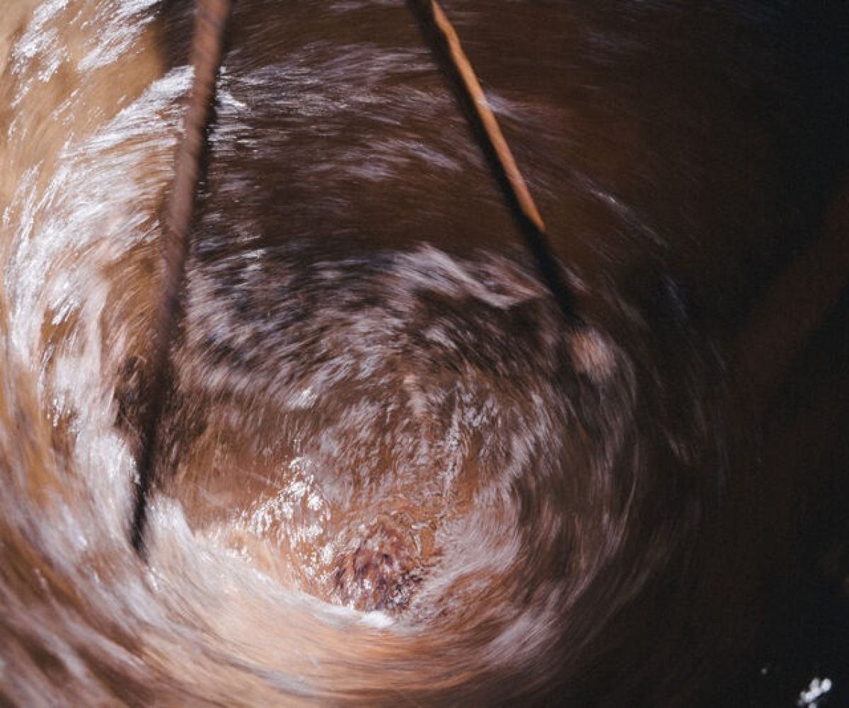L’azione dei preparati biodinamici sulla vitalità del suolo e delle piante – di Paolo Pistis