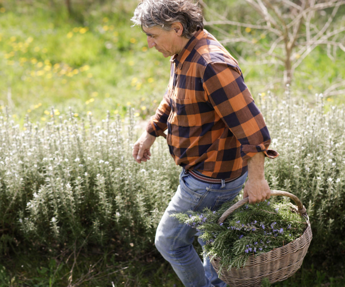 Agricoltura biodinamica e piante officinali: un corso teorico-pratico alla Fattoria Cuore Verde