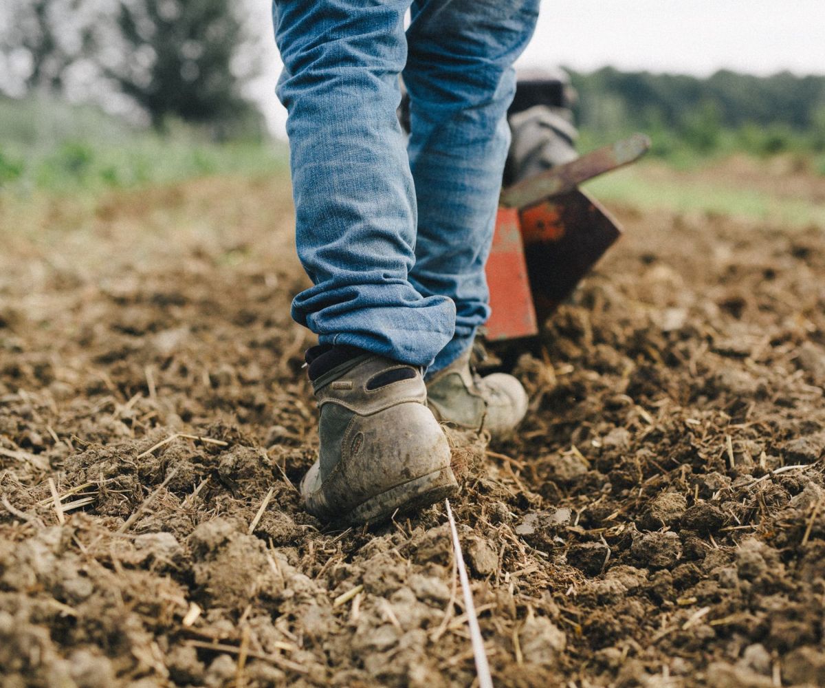 Demeter, l’anno comincia con un nuovo corso di agricoltura biodinamica