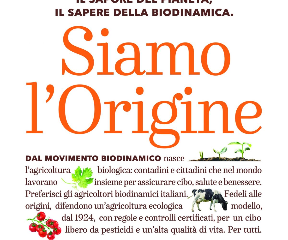 Siamo l’Origine – di Enrico Amico