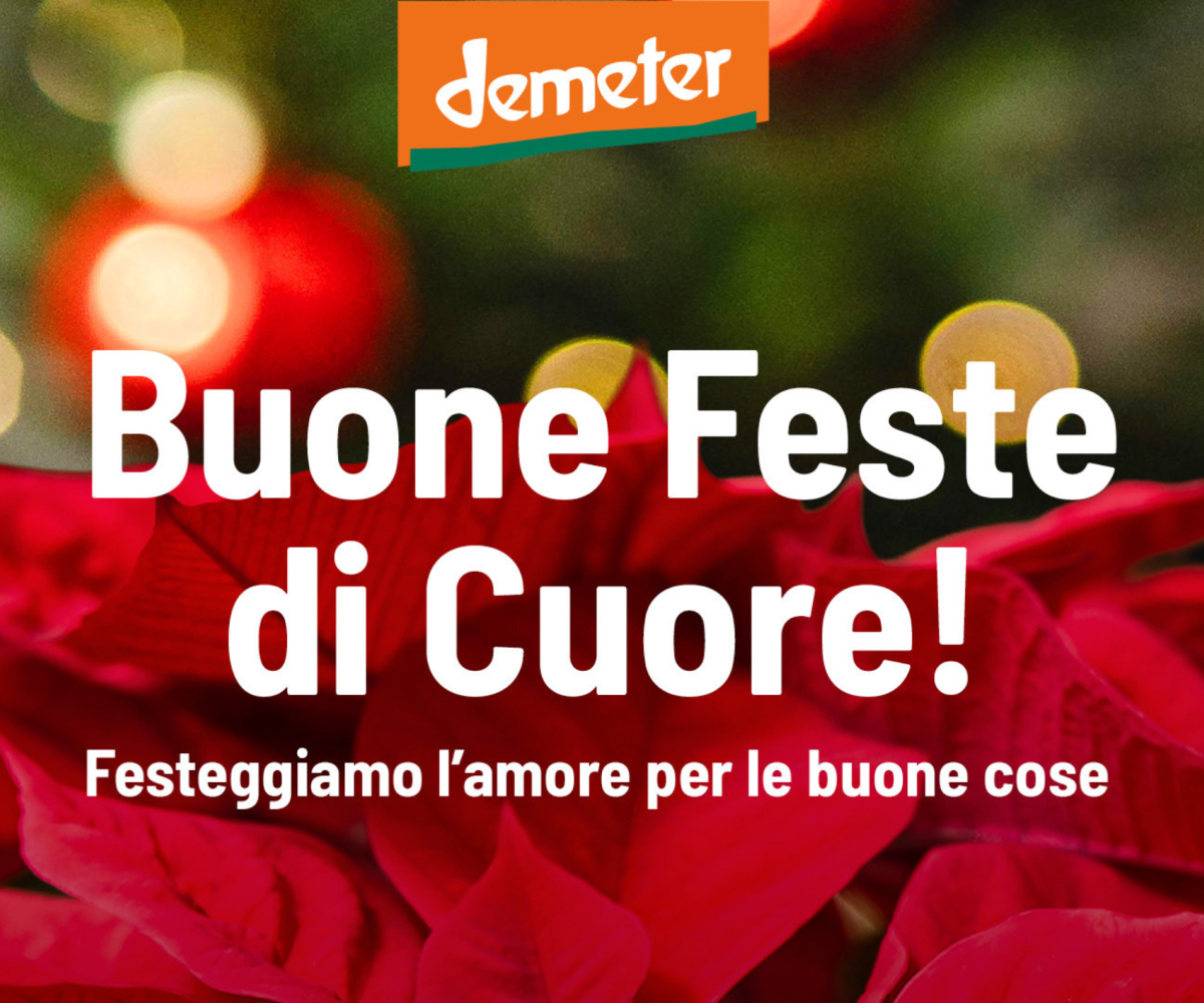 Natale: tempo di cura, valori e comunità