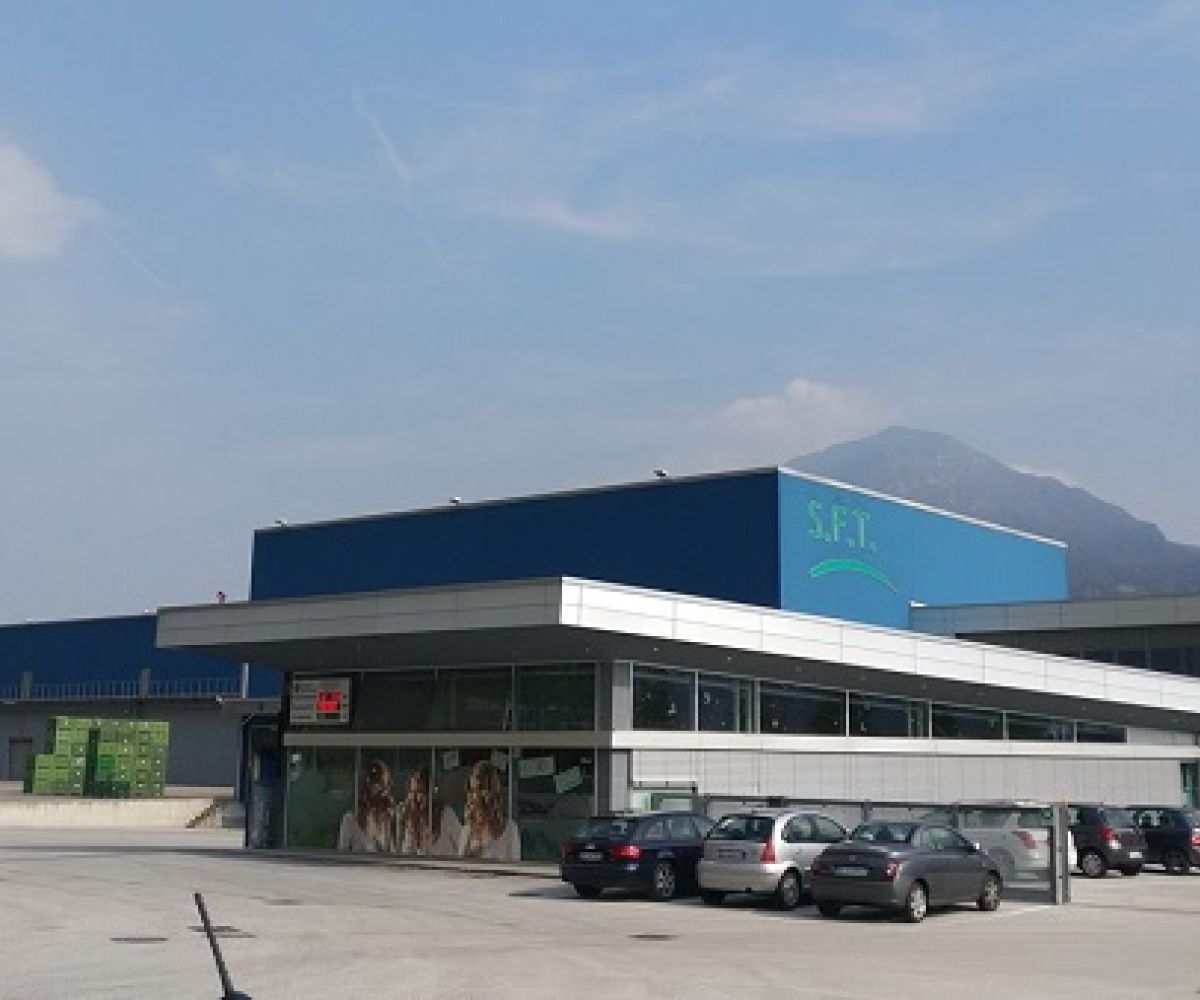 Incontro a Parma tra Demeter Italia e SFT