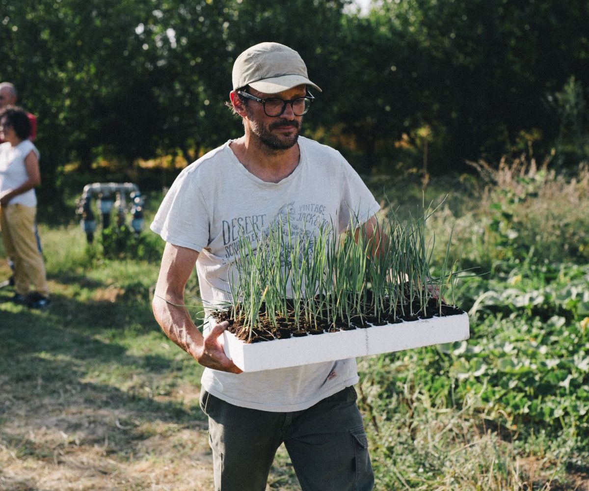 Corso base di agricoltura biodinamica in Veneto