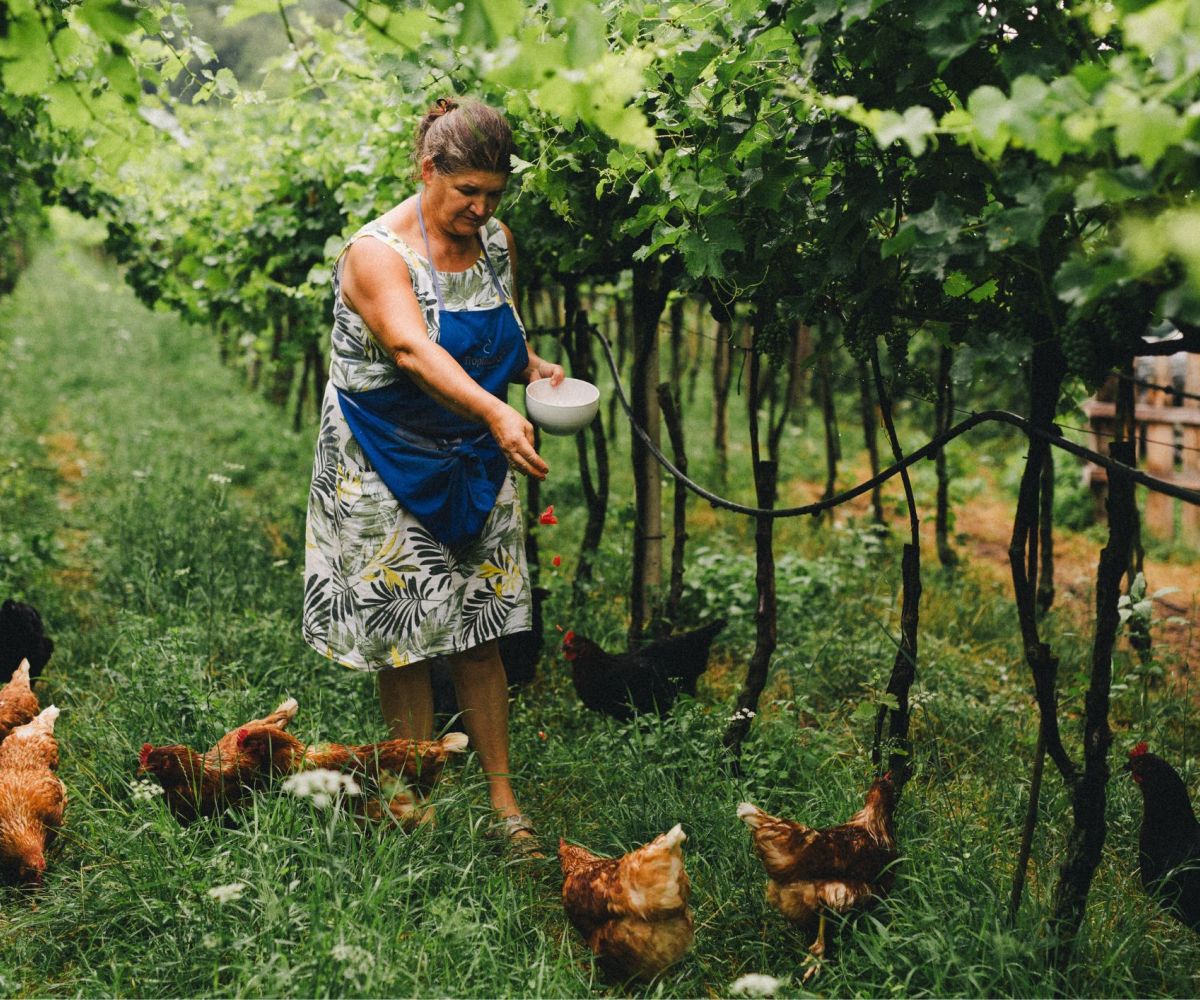 Tutto è collegato: il concetto di organismo agricolo biodinamico