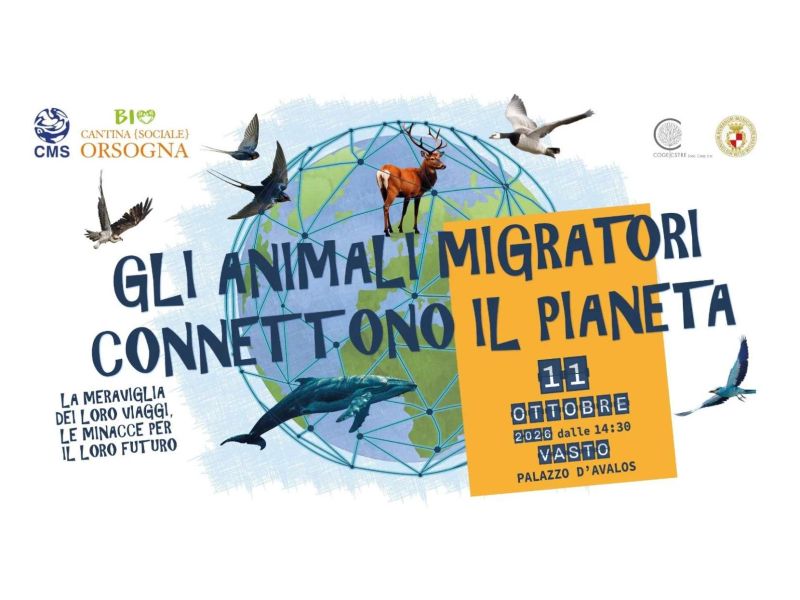 Gli animali migratori connettono il pianeta: a Vasto un incontro scientifico internazionale