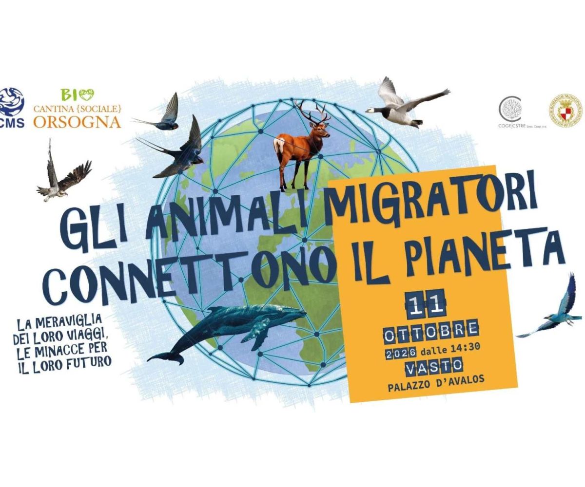 Gli animali migratori connettono il pianeta: a Vasto un incontro scientifico internazionale
