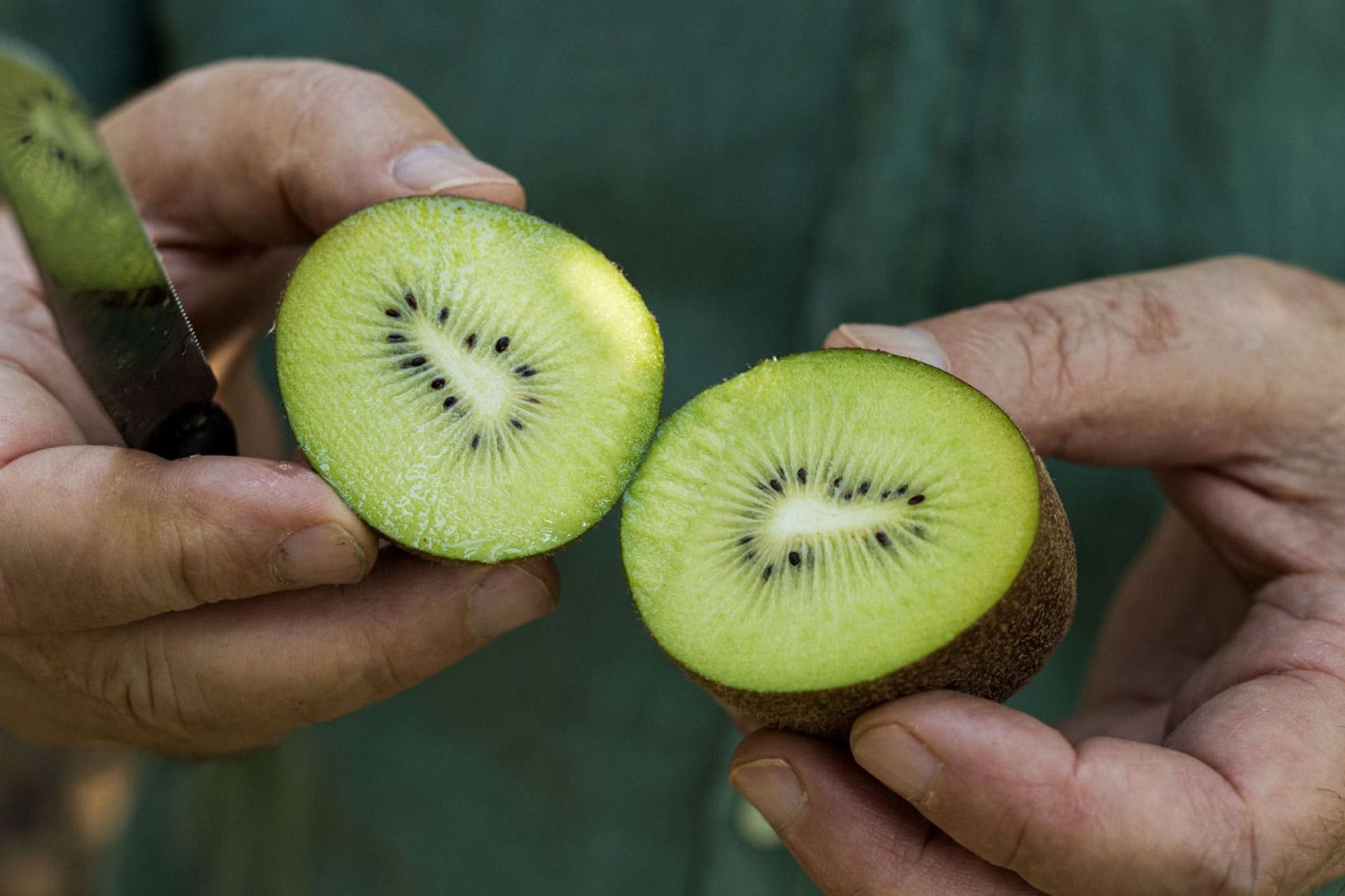 Frutta e Verdura