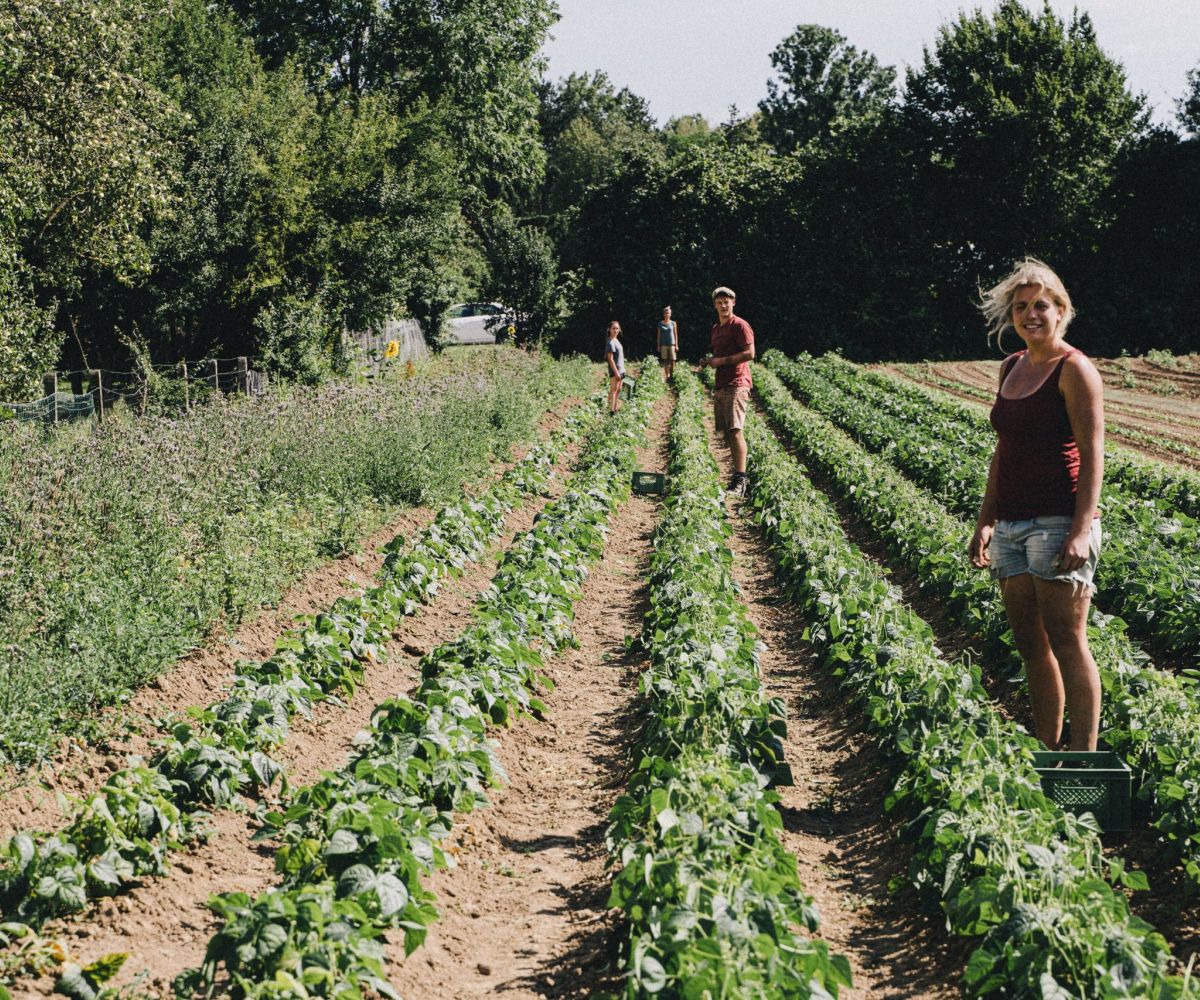 L’organismo agricolo biodinamico e la sua vitalità